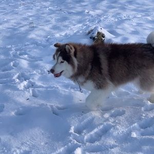 Meet your Posher, Kyana